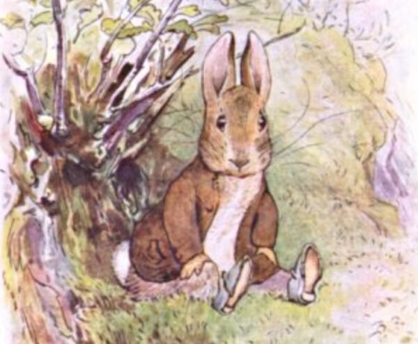 The Tale of Benjamin Bunny - litguides.com